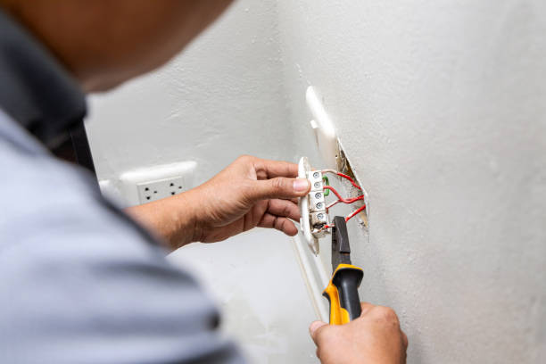 Best Electric Panel Repair  in Bayonet Point, FL